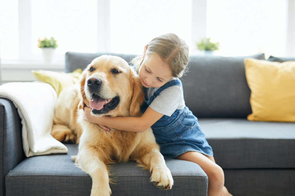 A dog and girl sitting on a sofa